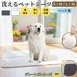 O[gEsj[YiGreat Pyreneesj 􂦂 ybgV[c h }bg  L z  ~ Rh~ p ybgp}bg gCV[g Lp p ^ ^ ^ 