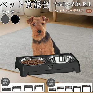 y5{|CgzEFVeAiWelsh Terrierj pH ybgH t[h{EX^h L  {Et \ ܂肽ݎ Hׂ₷ pT|[g Hh~ 