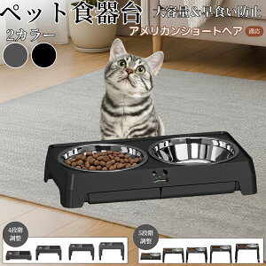 �A�����J���V���[�g�w�A American Shorthair ���p�H��� �y�b�g�H��� �t�[�h�{�E���X�^���h �L �� ����{�E���t�� ���������\ �܂肽���ݎ� �H�ׂ₷�� �p���T�|�[�g ���H���h�~ �􂢂₷�� 