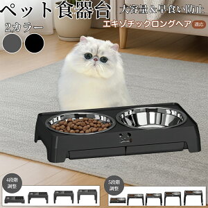 y5{|CgzGL]`bNOwA Exotic Longhair pH ybgH t[h{EX^h L  {Et \ ܂肽ݎ Hׂ₷ pT|[g Hh~