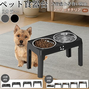 y5{|Cgzm[b`eAiNorwich Terrierj pH ybgH t[h{EX^h L  {Et \ ܂肽ݎ Hׂ₷ pT|[g Hh~ 