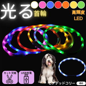 y5{|CgzrAfbhER[iBearded Colliej  L LED  USB[d J[ S7F C{[  U S΍ h _炩VR y ^ ^ ^ TCY