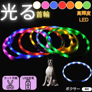 y5{|Cgz{NT[iBoxerj  L LED  USB[d J[ S7F C{[  U S΍ h _炩VR y ^ ^ ^ TCY߉ 铹Cg y