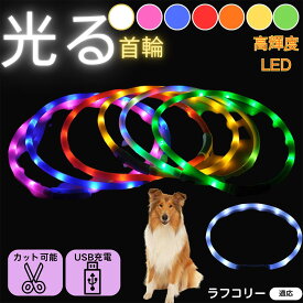 「最大15%オフクーポン」 ラフ・コリー（Rough Collie） 犬 猫 LED 光る首輪 USB充電式 発光カラー 全7色 レインボー 夜間 散歩 安全対策 防水 柔らかシリコン 軽量 小型犬 中型犬 大型犬 サイズ調節可 夜道ライト ペット用発光ネックレス