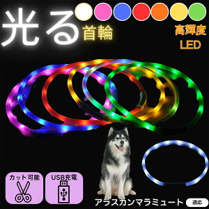 y5{|CgzAXJE}~[g  L LED  USB[d J[ S7F C{[  U S΍ h _炩VR y ^ ^ ^ TCY߉ 铹