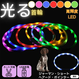 「最大15%オフクーポン」 ジャーマン・ショートヘアード・ポインター 犬 猫 LED 光る首輪 USB充電式 発光カラー 全7色 レインボー 夜間 散歩 安全対策 防水 柔らかシリコン 軽量 小型犬 中型犬 大型犬 サイズ調節可 夜道ライト ペット用発光ネックレス