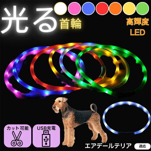 y5{|CgzGAf[EeAiAiredale Terrierj  L LED  USB[d J[ S7F C{[  U S΍ h _炩VR y ^ ^ ^ TCY