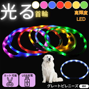 y5{|CgzO[gEsj[YiGreat Pyreneesj  L LED  USB[d J[ S7F C{[  U S΍ h _炩VR y ^ ^ ^ TCY