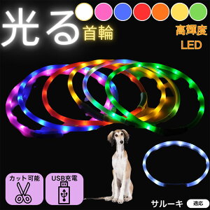 y5{|CgzT[LiSalukij  L LED  USB[d J[ S7F C{[  U S΍ h _炩VR y ^ ^ ^ TCY߉ 铹Cg y