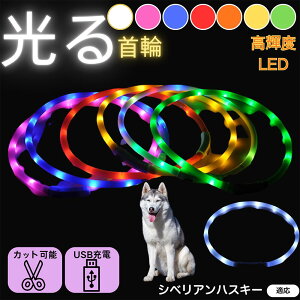 y5{|CgzVxAEnXL[iSiberian Huskyj  L LED  USB[d J[ S7F C{[  U S΍ h _炩VR y ^ ^ ^ TCY