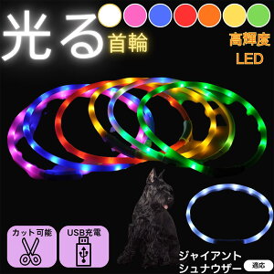 y5{|CgzWCAgEViEU[  L LED  USB[d J[ S7F C{[  U S΍ h _炩VR y ^ ^ ^ TCY߉ 