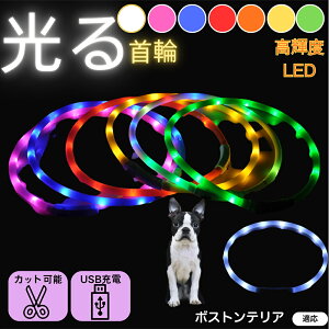 y5{|Cgz{XgeAiBoston Terrierj  L LED  USB[d J[ S7F C{[  U S΍ h _炩VR y ^ ^ ^ TCY߉ 