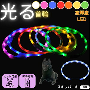 y5{|CgzXLbp[Li schipperke j  L LED  USB[d J[ S7F C{[  U S΍ h _炩VR y ^ ^ ^ TCY߉ 铹