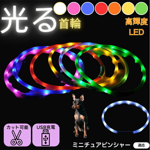 y5{|Cgz~j`AsV[iMiniature Pinscherj  L LED  USB[d J[ S7F C{[  U S΍ h _炩VR y ^ ^ ^ TC