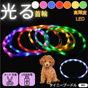 y5{|Cgz^Cj[v[hiTiny Poodlej  L LED  USB[d J[ S7F C{[  U S΍ h _炩VR y ^ ^ ^ TCY߉ 