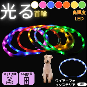 y5{|CgzC[tHbNXeAiWire Fox Terrierj  L LED  USB[d J[ S7F C{[  U S΍ h _炩VR y ^ ^ ^ T