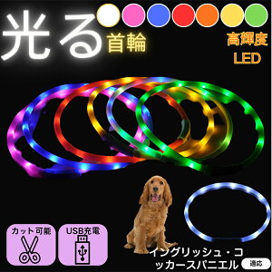 y5{|CgzCObVERbJ[EXpjG  L LED  USB[d J[ S7F C{[  U S΍ h _炩VR y ^ ^ ^ TC