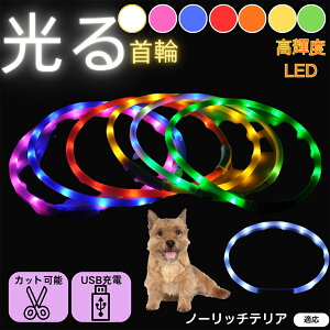 y5{|Cgzm[b`eAiNorwich Terrierj  L LED  USB[d J[ S7F C{[  U S΍ h _炩VR y ^ ^ ^ TCY