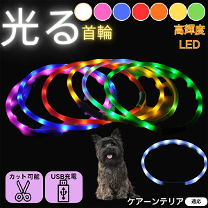 y5{|CgzPA[eAiCairn Terrierj  L LED  USB[d J[ S7F C{[  U S΍ h _炩VR y ^ ^ ^ TCY߉ 