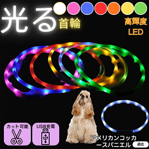 y5{|CgzAJERbJ[EXpjG  L LED  USB[d J[ S7F C{[  U S΍ h _炩VR y ^ ^ ^ TCY