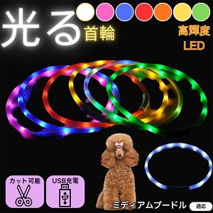 y5{|Cgz~fBAEv[h  L LED  USB[d J[ S7F C{[  U S΍ h _炩VR y ^ ^ ^ TCY߉ 铹C