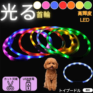 y5{|CgzgCv[hiToy Poodlej  L LED  USB[d J[ S7F C{[  U S΍ h _炩VR y ^ ^ ^ TCY߉ 铹