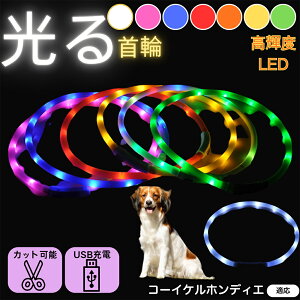 y5{|CgzR[CPzfBG  L LED  USB[d J[ S7F C{[  U S΍ h _炩VR y ^ ^ ^ TCY߉ 铹C