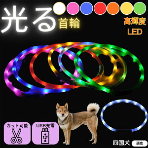 y5{|CgzliShikoku Inuj  L LED  USB[d J[ S7F C{[  U S΍ h _炩VR y ^ ^ ^ TCY߉ 铹Cg 