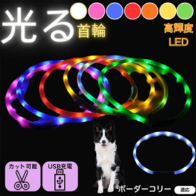 「最大15%オフクーポン」 ボーダー・コリー（Border Collie） 犬 猫 LED 光る首輪 USB充電式 発光カラー 全7色 レインボー 夜間 散歩 安全対策 防水 柔らかシリコン 軽量 小型犬 中型犬 大型犬 サイズ調節可 夜道ライト ペット用発光ネックレス