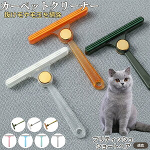 ueBbVV[gwA British Shorthair ʖюuV ыʃN[i[ ߗޗp ю ybgуN[i[ J[ybg \t@puV ÓdCh~ юObY pN[i[