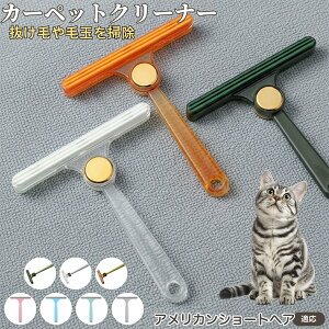 AJV[gwA American Shorthair ʖюuV ыʃN[i[ ߗޗp ю ybgуN[i[ J[ybg \t@puV ÓdCh~ юObY pN[i[ 