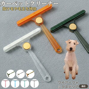 C[tHbNXeAiWire Fox Terrierj ʖюuV ыʃN[i[ ߗޗp ю ybgуN[i[ J[ybg \t@puV ÓdCh~ юObY pN[i