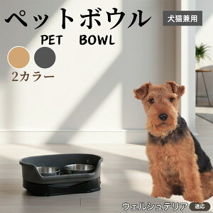 EFVeAiWelsh Terrierj ybgp_u{E H LH XeXt[h{E a {E Lp юM  ybgt[h{E aM Hׂ₷݌v ~