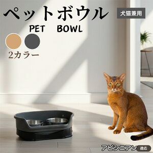 ArVjA Abyssinian ybgp_u{E H LH XeXt[h{E a {E Lp юM  ybgt[h{E aM Hׂ₷݌v ~ߕt X