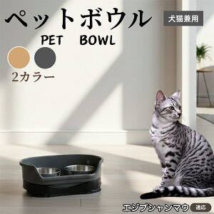 GWvV}E Egyptian Mau ybgp_u{E H LH XeXt[h{E a {E Lp юM  ybgt[h{E aM Hׂ₷݌v ~ߕt 