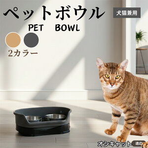 IVLbg Ocicat ybgp_u{E H LH XeXt[h{E a {E Lp юM  ybgt[h{E aM Hׂ₷݌v ~ߕt Xe