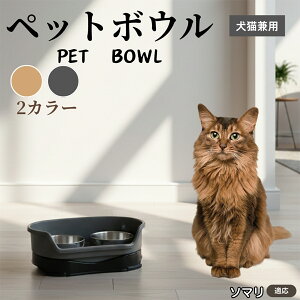 \} Somali ybgp_u{E H LH XeXt[h{E a {E Lp юM  ybgt[h{E aM Hׂ₷݌v ~ߕt XeX