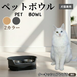 ^[LbVAS Turkish Angora ybgp_u{E H LH XeXt[h{E a {E Lp юM  ybgt[h{E aM Hׂ₷݌v ~