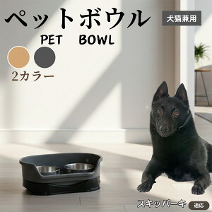 XLbp[Li schipperke j ybgp_u{E H LH XeXt[h{E a {E Lp юM  ybgt[h{E aM Hׂ₷݌v ~ߕt 