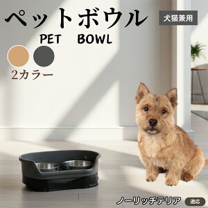 m[b`eAiNorwich Terrierj ybgp_u{E H LH XeXt[h{E a {E Lp юM  ybgt[h{E aM Hׂ₷݌v ~