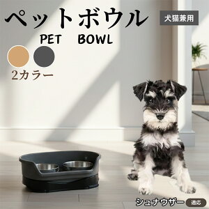 ViEU[iMiniature Schnauzerj ybgp_u{E H LH XeXt[h{E a {E Lp юM  ybgt[h{E aM Hׂ₷݌v ~