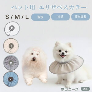 {j[YiBolognesej Lp GUxXJ[ h \tg^Cv ybgpPA ی rߖh~ ybgpPAObY p Lp _炩y pi ybg PAJ[