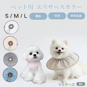 }`[YiMaltesej Lp GUxXJ[ h \tg^Cv ybgpPA ی rߖh~ ybgpPAObY p Lp _炩y pi ybg PAJ[