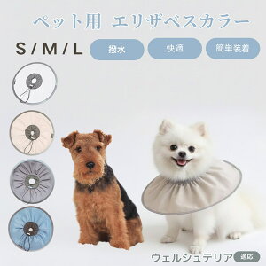 EFVeAiWelsh Terrierj Lp GUxXJ[ h \tg^Cv ybgpPA ی rߖh~ ybgpPAObY p Lp _炩y pi ybg P