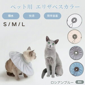 y5{|CgzVAu[ VA Russian Blue Lp GUxXJ[ h \tg^Cv ybgpPA ی rߖh~ ybgpPAObY p Lp _炩y 