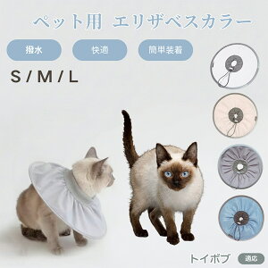 y5{|CgzgC{u Toybob Lp GUxXJ[ h \tg^Cv ybgpPA ی rߖh~ ybgpPAObY p Lp _炩y pi ybg PA