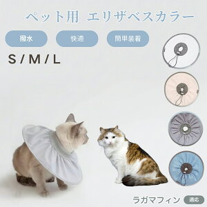 K}tB RagaMuffin Lp GUxXJ[ h \tg^Cv ybgpPA ی rߖh~ ybgpPAObY p Lp _炩y pi ybg PAJ[