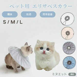 y5{|Cgz~kGbg Minuet Lp GUxXJ[ h \tg^Cv ybgpPA ی rߖh~ ybgpPAObY p Lp _炩y pi ybg P