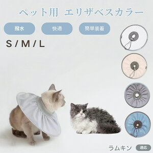 y5{|CgzL Lambkin Lp GUxXJ[ h \tg^Cv ybgpPA ی rߖh~ ybgpPAObY p Lp _炩y pi ybg P