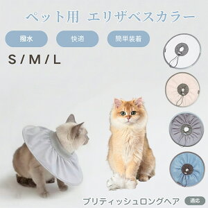 y5{|CgzueBbVOwA British Longhair Lp GUxXJ[ h \tg^Cv ybgpPA ی rߖh~ ybgpPAObY p Lp _炩y 